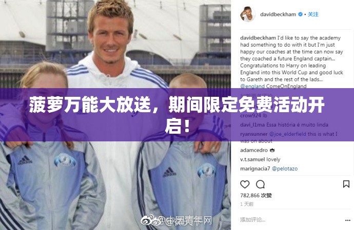 菠萝万能大放送，期间限定免费活动开启！