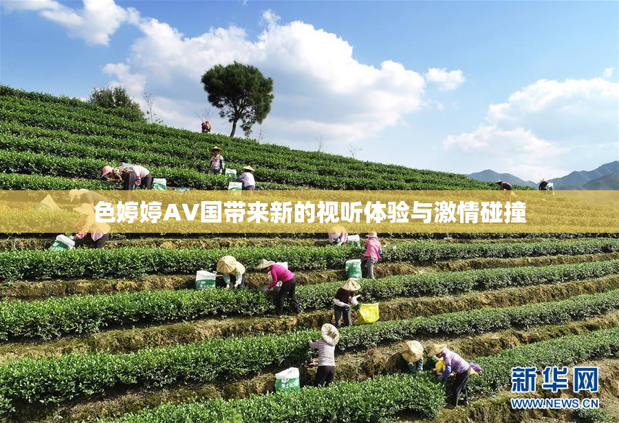 色婷婷AV国带来新的视听体验与激情碰撞