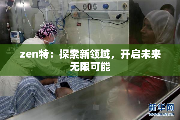 zen特：探索新领域，开启未来无限可能