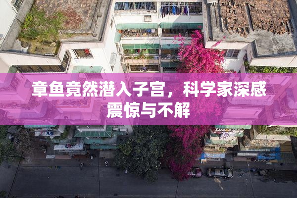 章鱼竟然潜入子宫，科学家深感震惊与不解