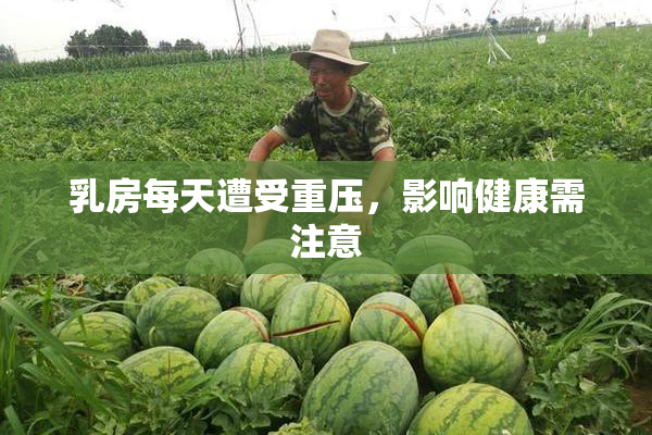 乳房每天遭受重压，影响健康需注意