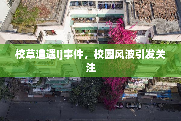 校草遭遇lj事件，校园风波引发关注