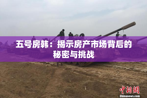 五号房韩：揭示房产市场背后的秘密与挑战