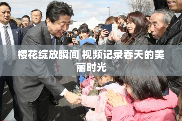 樱花绽放瞬间 视频记录春天的美丽时光