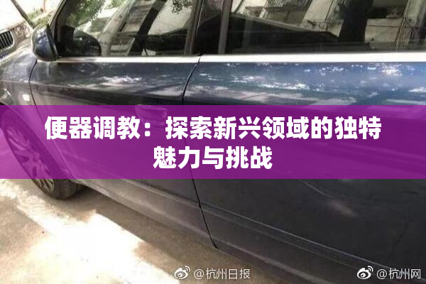 便器调教：探索新兴领域的独特魅力与挑战