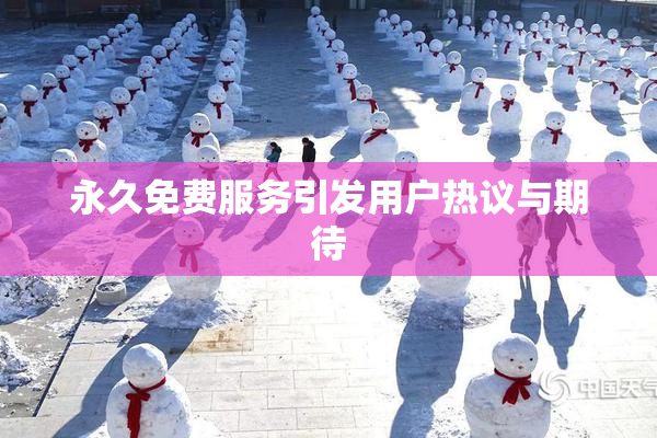 永久免费服务引发用户热议与期待