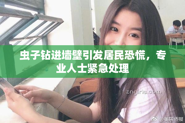 虫子钻进墙壁引发居民恐慌，专业人士紧急处理