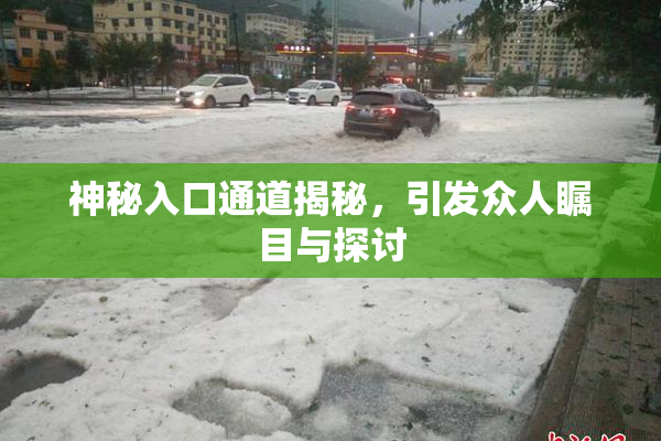 神秘入口通道揭秘，引发众人瞩目与探讨