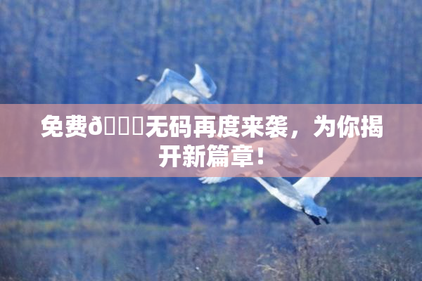 免费🔞无码再度来袭，为你揭开新篇章！