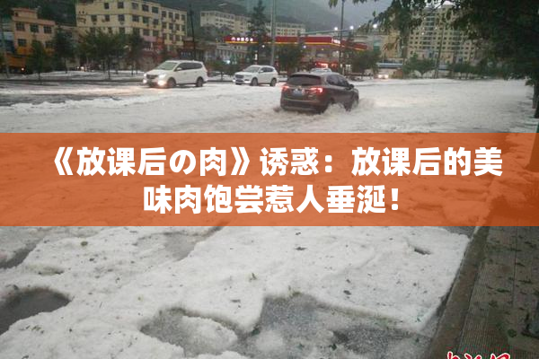 《放课后の肉》诱惑：放课后的美味肉饱尝惹人垂涎！