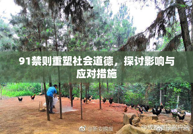 91禁则重塑社会道德，探讨影响与应对措施