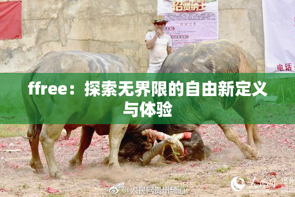 ffree：探索无界限的自由新定义与体验