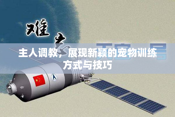 主人调教，展现新颖的宠物训练方式与技巧