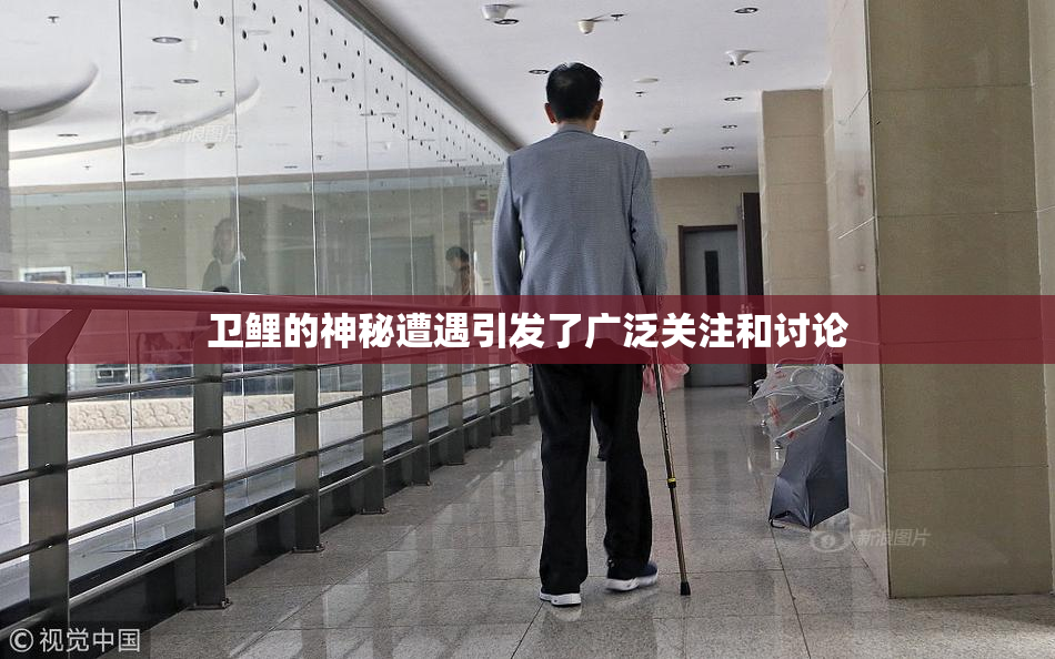 卫鲤的神秘遭遇引发了广泛关注和讨论