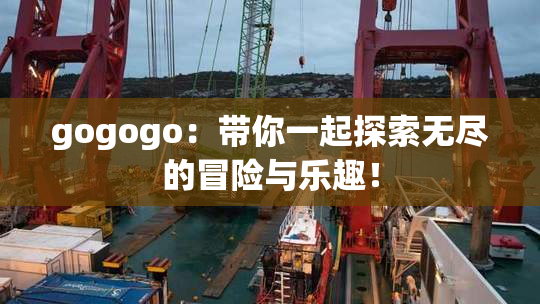 gogogo：带你一起探索无尽的冒险与乐趣！