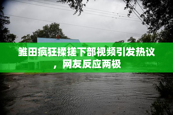 雏田疯狂揉搓下部视频引发热议，网友反应两极