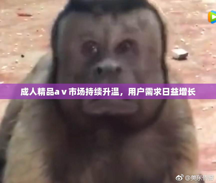 成人精品aⅴ市场持续升温，用户需求日益增长