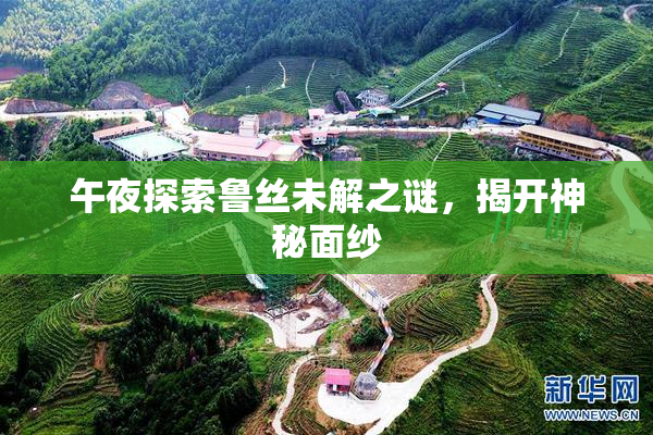 午夜探索鲁丝未解之谜，揭开神秘面纱