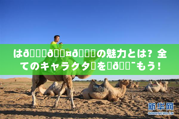 は🍑🖤🌃の魅力とは？全てのキャラクターを楽🔯もう！