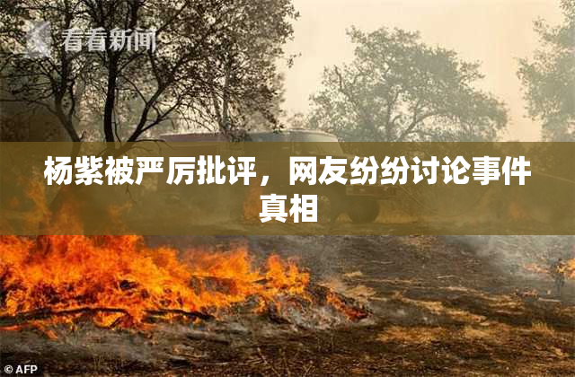 杨紫被严厉批评，网友纷纷讨论事件真相