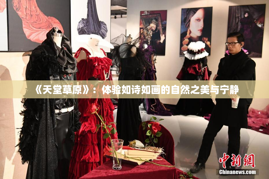 《天堂草原》：体验如诗如画的自然之美与宁静