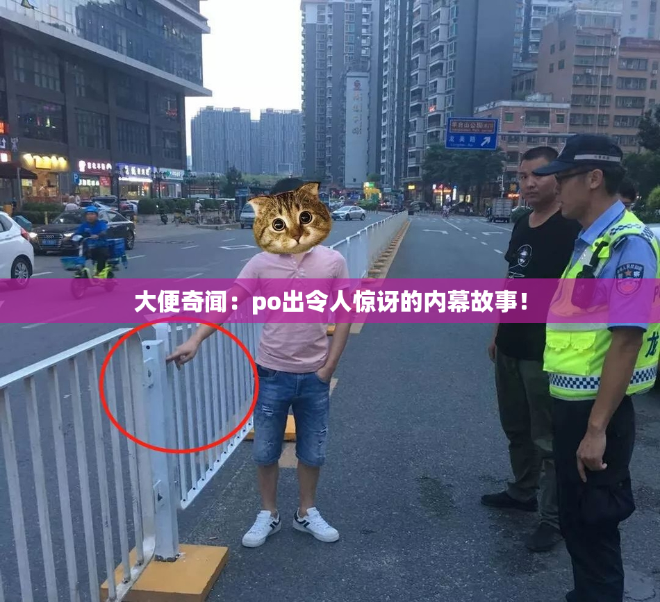 大便奇闻：po出令人惊讶的内幕故事！