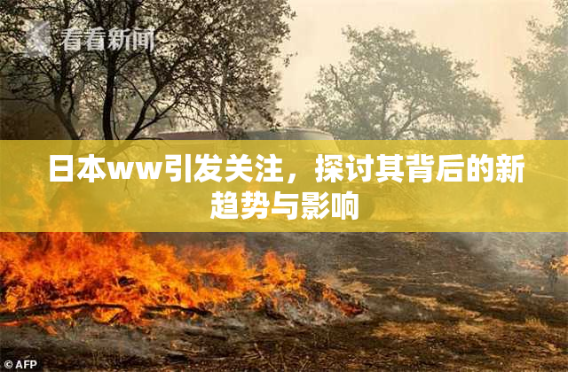 日本ww引发关注，探讨其背后的新趋势与影响