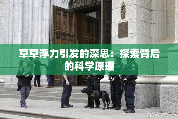 草草浮力引发的深思：探索背后的科学原理
