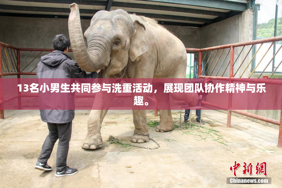 13名小男生共同参与洗重活动，展现团队协作精神与乐趣。