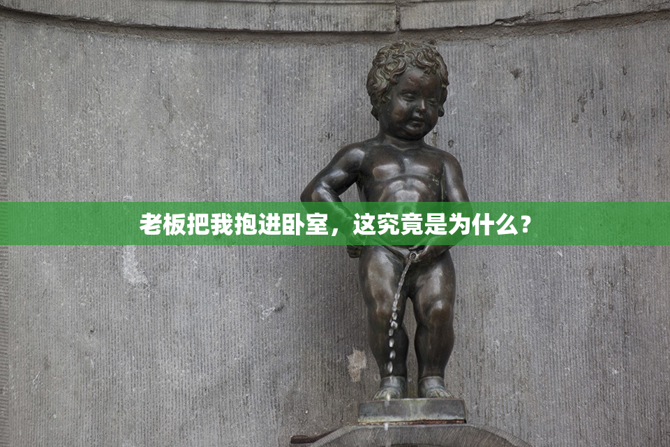老板把我抱进卧室，这究竟是为什么？