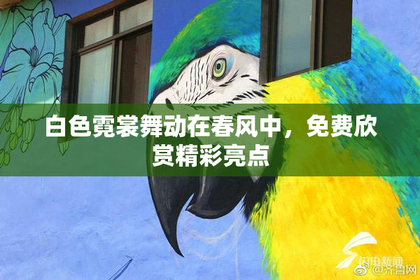 白色霓裳舞动在春风中，免费欣赏精彩亮点
