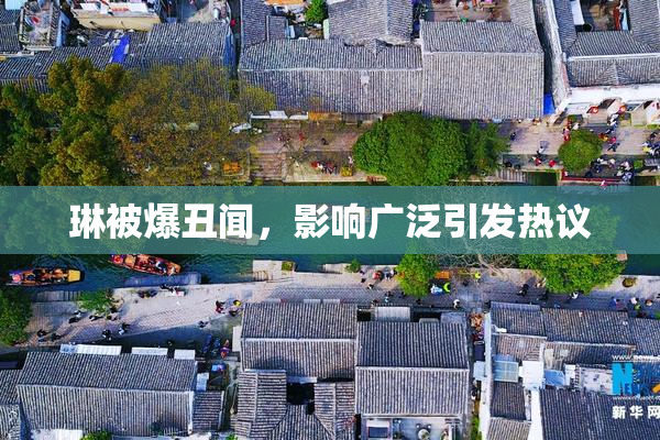 琳被爆丑闻，影响广泛引发热议