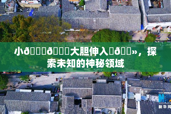 小🐔🐔大胆伸入‌🐻，探索未知的神秘领域