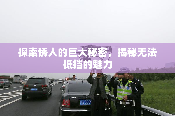 探索诱人的巨大秘密，揭秘无法抵挡的魅力