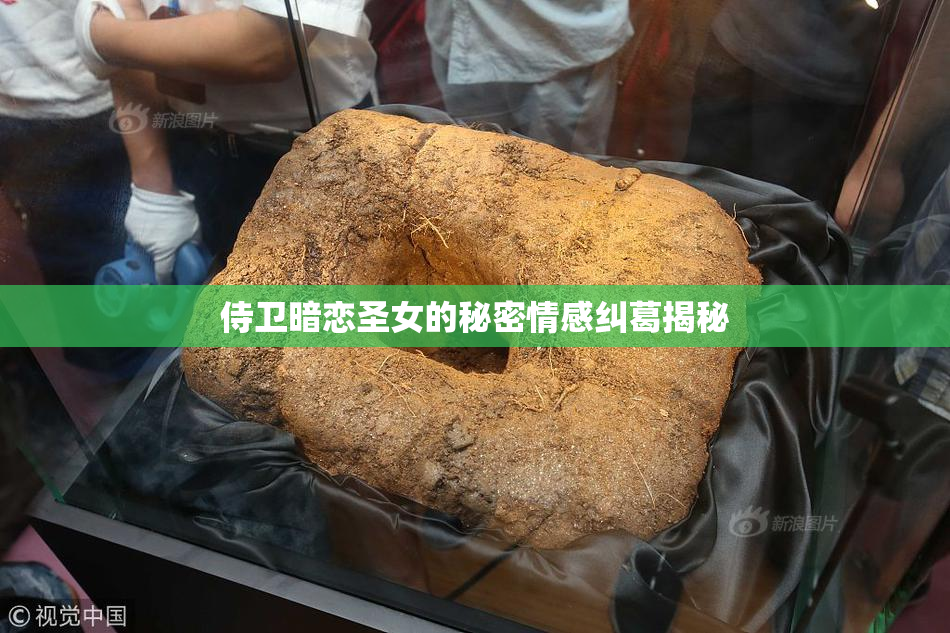 侍卫暗恋圣女的秘密情感纠葛揭秘