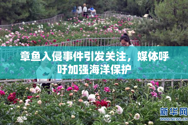 章鱼入侵事件引发关注，媒体呼吁加强海洋保护
