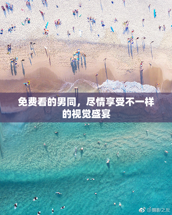 免费看的男同，尽情享受不一样的视觉盛宴