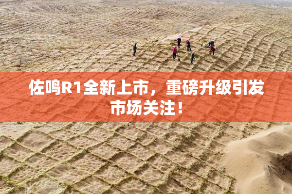 佐鸣R1全新上市，重磅升级引发市场关注！