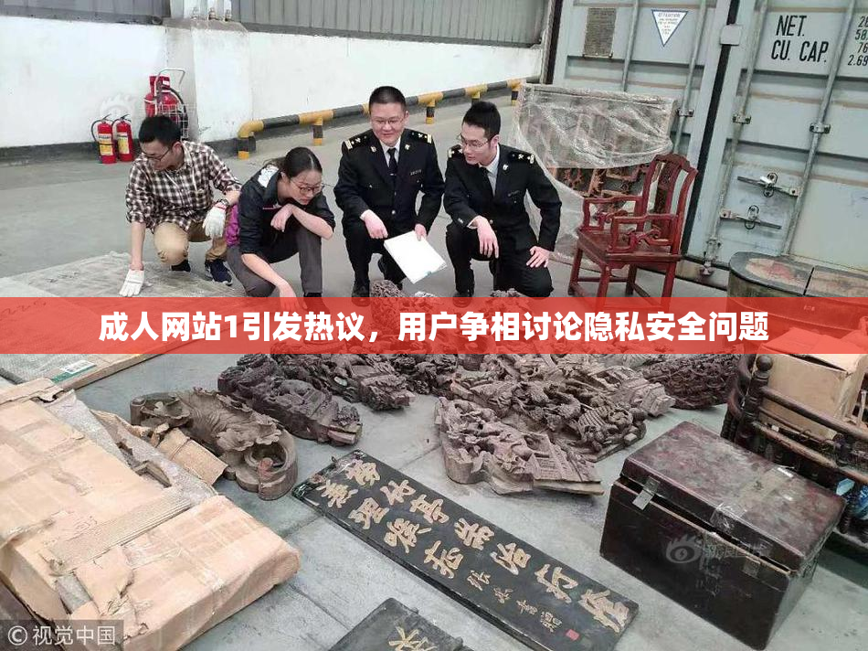 成人网站1引发热议，用户争相讨论隐私安全问题