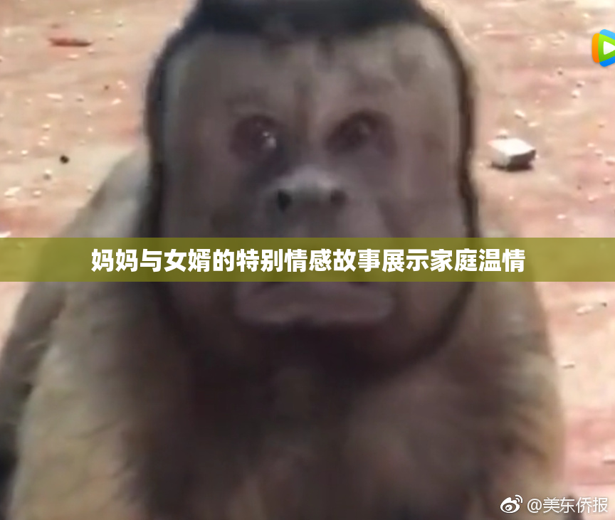 妈妈与女婿的特别情感故事展示家庭温情