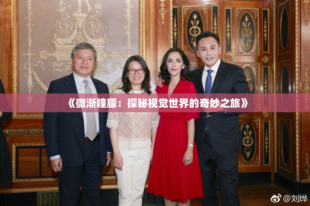 《微渐瞳朦：探秘视觉世界的奇妙之旅》