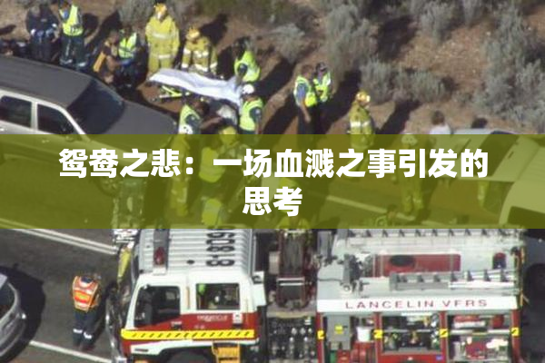鸳鸯之悲：一场血溅之事引发的思考