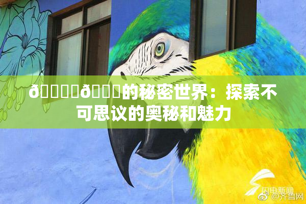 🔞‌🍌的秘密世界：探索不可思议的奥秘和魅力