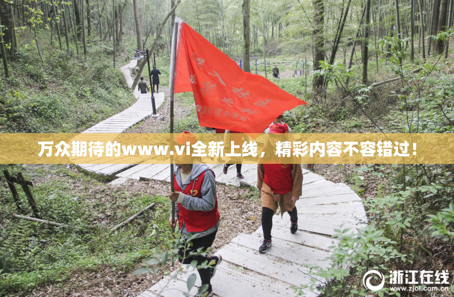 万众期待的www.vi全新上线，精彩内容不容错过！
