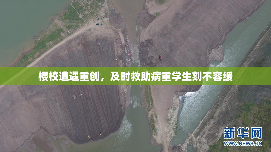 樱校遭遇重创，及时救助病重学生刻不容缓