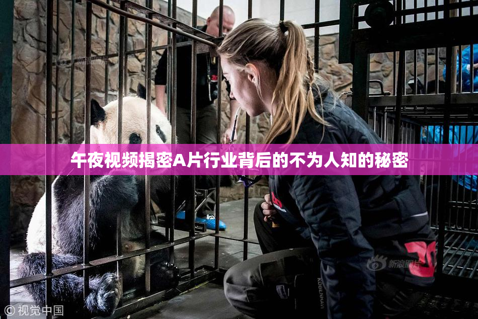 午夜视频揭密A片行业背后的不为人知的秘密
