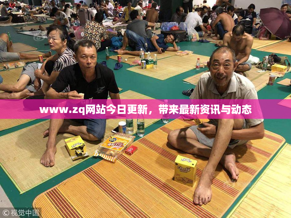 www.zq网站今日更新，带来最新资讯与动态