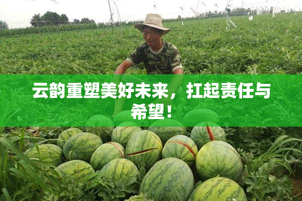 云韵重塑美好未来，扛起责任与希望！