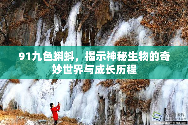 91九色蝌蚪，揭示神秘生物的奇妙世界与成长历程