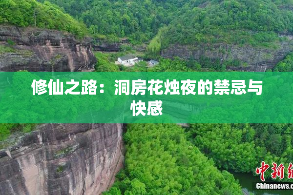 修仙之路：洞房花烛夜的禁忌与快感